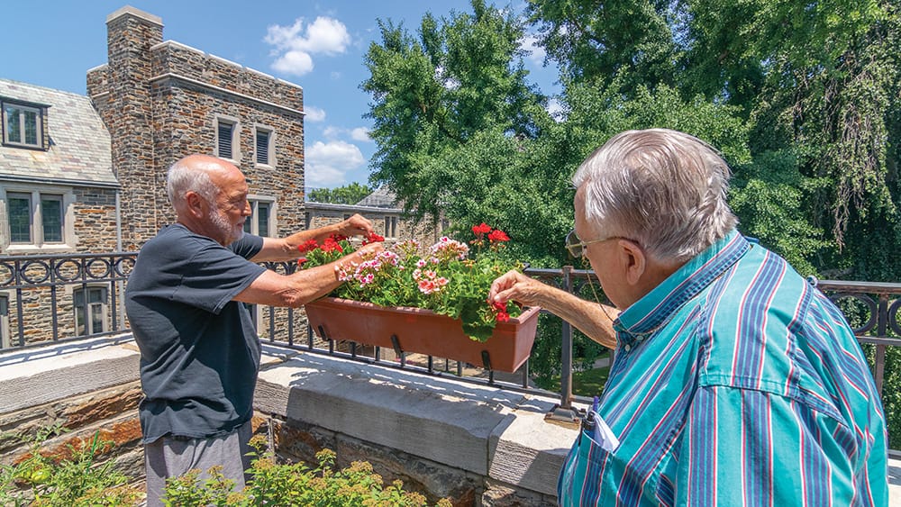 Two men tend to flowers outside on a sunny day